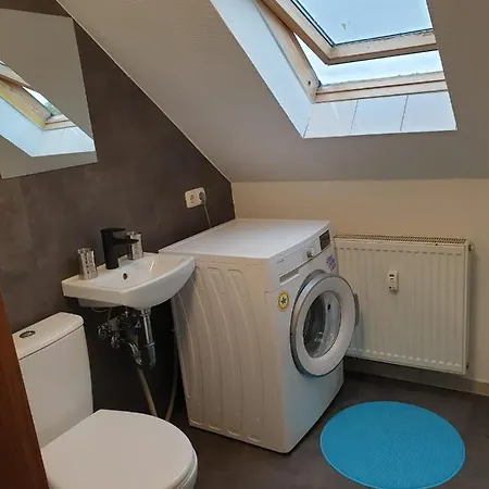 Vogelnest Riesa * 里萨